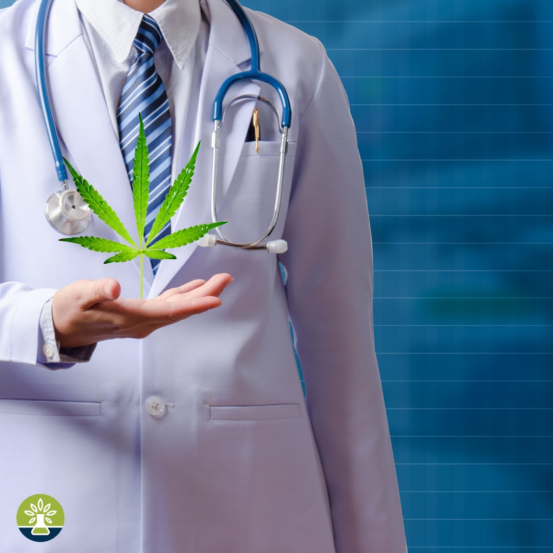 MoCann Testing (@mocanntesting) on Twitter photo We're committed to ensuring the highest quality standards for your cannabis products. Trust the experts. 🌿🔬✅
Get Started: mocanntesting.com
#MoCannTesting #CannabisTesting #QualityAssured We're committed to ensuring the highest quality standards for your cannabis products. Trust the experts. 🌿🔬✅
Get Started: mocanntesting.com
#MoCannTesting #CannabisTesting #QualityAssured