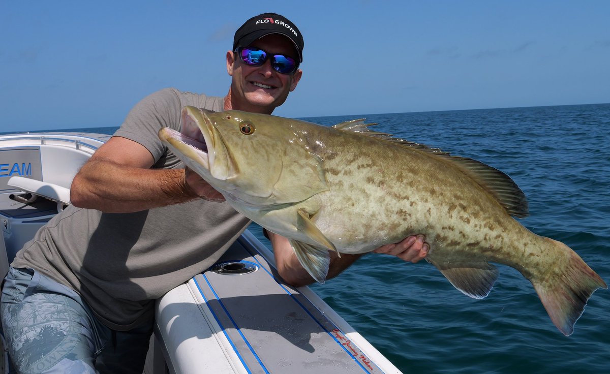 CaptJimmyNelson's tweet image. I love this time of year 🎣🎣
@FishinwithLuiza 
@flogrown @GrizzlyCoolers @dekitco @PlantationOnCR #fishing #gaggrouper #grouper #livinthedream #saltwaterfishing #offshorefishing #floridafishing #flogrown #fishingflorida #dekit #floridalife #fishingwithluiza #captjimmynelson