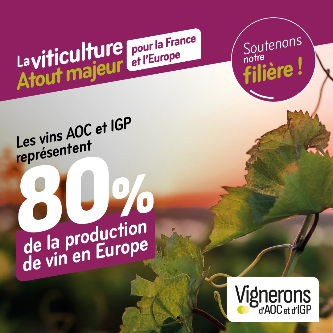 L’🇪🇺 est le 1er continent producteur de vin au monde. Le 9 juin : soutenez la viticulture #AOC &amp; #IGP : ce sont les pierres angulaires de la politique de qualité et donc de durabilité. Parmi les candidats, nous comptons sur @BesoindEurope CC <a href="/ValerieHayer/">Valérie Hayer</a> <a href="/MariePierreV/">Marie-Pierre Vedrenne</a> <a href="/pcanfin/">Pascal Canfin</a>