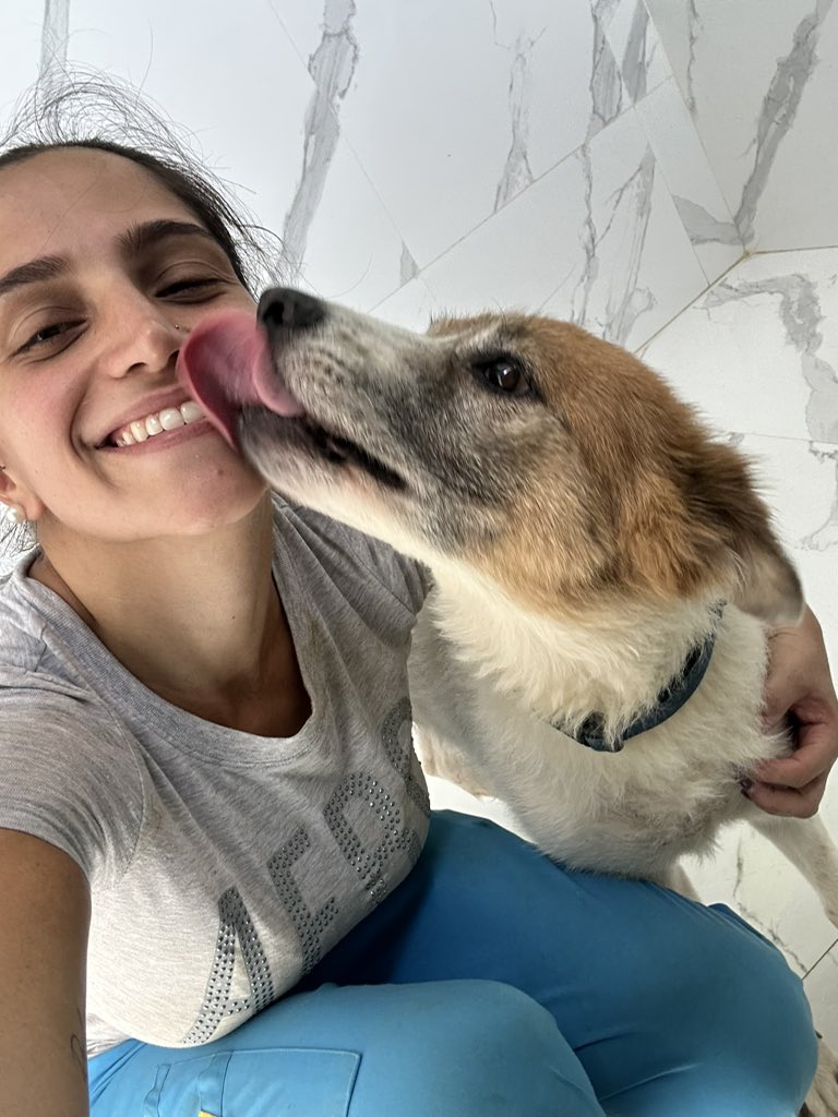 ayudemosapluto's tweet photo. My great #ZeusAP โฅ๏ธ๐ Many kisses to mom to start the day ๐ซถ๐ปWe are now reporting that we only need $312.23 for the rent and $73 for the shampoo. No matter how much you can donate, it all adds up to us, the needs at the shelter don't stop and we can't do it alone.Thanks once again https://t.co/LKen8CkNq4