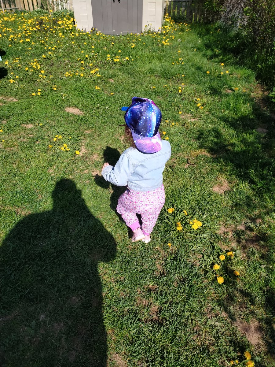 Skip Gently 🇨🇦 tweet media