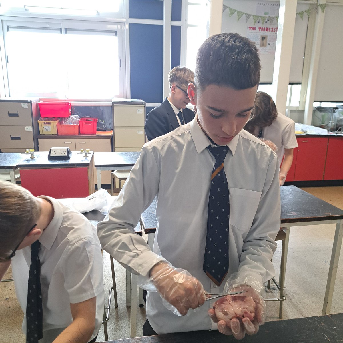 MeceScience's tweet photo. Year 9 were able to put the theory into practice today during a heart dissection and exploring the chambers and the route blood flows. https://t.co/r8N60OJejT