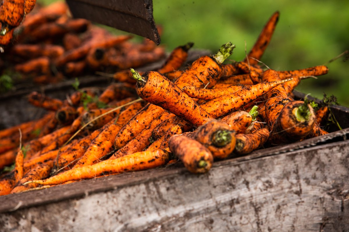 🥕🥕We're ready to go for another year! Enrolment is now open for our Fall 2024 campaign. Head on over to freshfromfarm.ca/Enrol.aspx for more fundraiser details and to get your school started. We can't wait to see you this Fall!! 🍎🍎