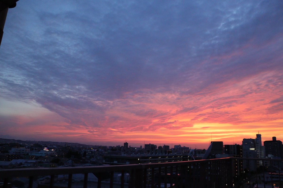 今日の夕焼け
凄かった〜