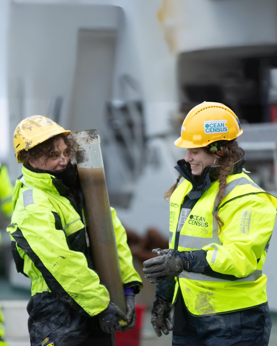 🌊 Meet Nuria Rico Seijo, @nektonmission's dedicated #LabManager

We're proud to spotlight Nuria, aboard the RV Kronprins Haakon for the Arctic Deep expedition. A seasoned marine biologist, Nuria has extensively studied zooplankton from the Iberian Peninsula to the Maldives.