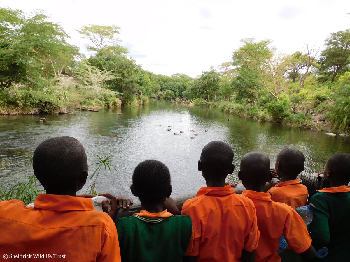 With a focus on wildlife education, we offer free field trips into National Parks for local students as part of our Community Outreach. Find out what grand adventures await future conservationists through this little known, but important initiative: sheldrickwildlifetrust.org/news/updates/s…