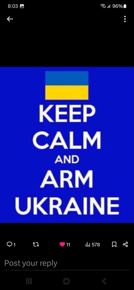 Angie DeJong 🇺🇸🇺🇦💙💛 tweet media