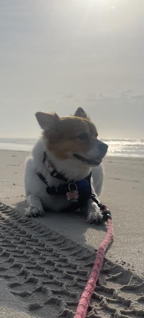 nlions1's tweet photo. @carlypearce Our angel is ready for summer https://t.co/KPGRYNCXGI