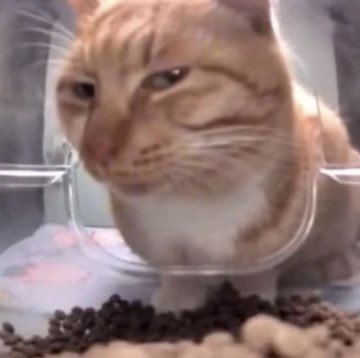 5월 이투스... 수학점수 구라같은데