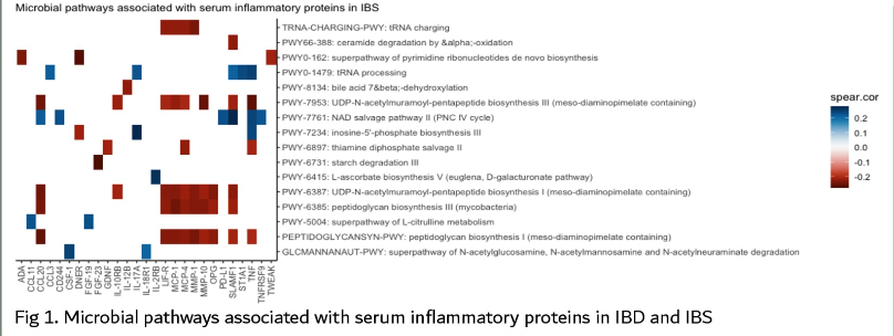 Feeling blue... and proud🎀! 😆Our #DDW2024 abstract Tu1901 ▶️showed a significant proportion of differences in microbial taxonomic and functional profiles amongst pts with #IBD or #IBS, which can be associated with circulating inflammatory protein signatures. #Gitwitter