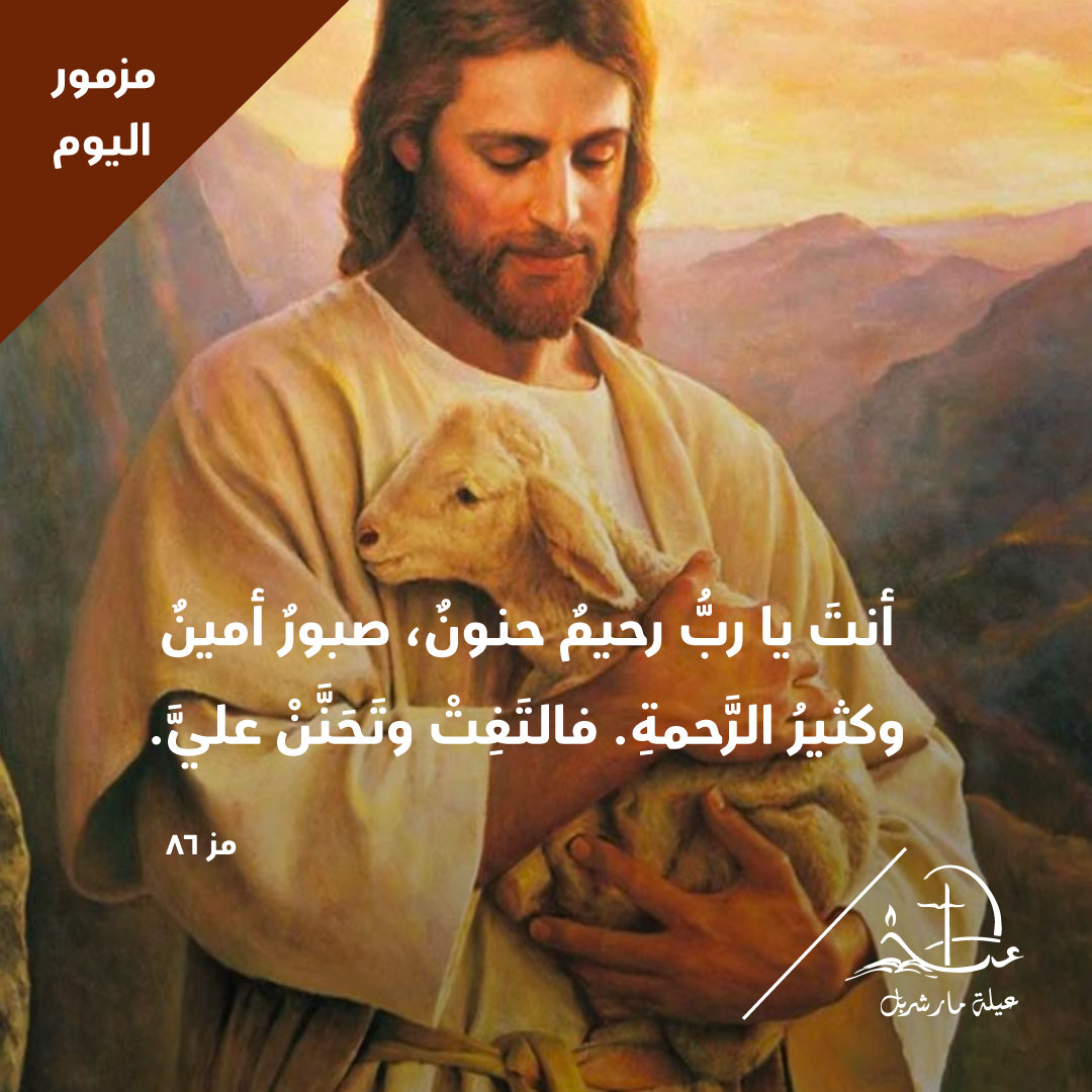 'But you, Lord, are a merciful and gracious God, slow to anger, most loving and true. Turn to me, have pity on me' Ps 86 #Psalm #مزمور