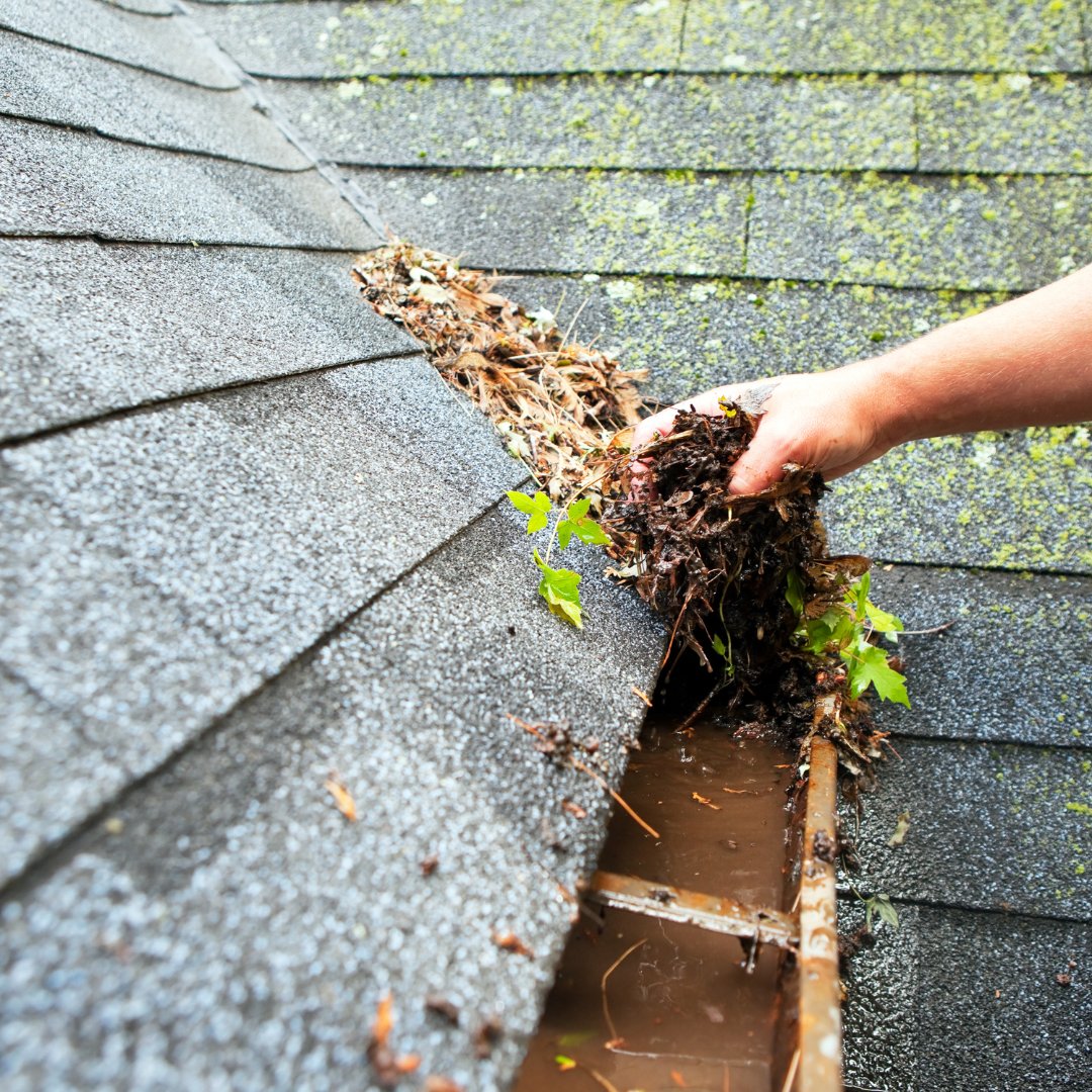 SvcMasterPEI's tweet photo. Don't let sneaky winter damage turn into expensive problems! 
Check those shingles, clear the gutters, and peek at the siding and foundation...a little TLC now can save you from big trouble later! https://t.co/IHr09PIECg