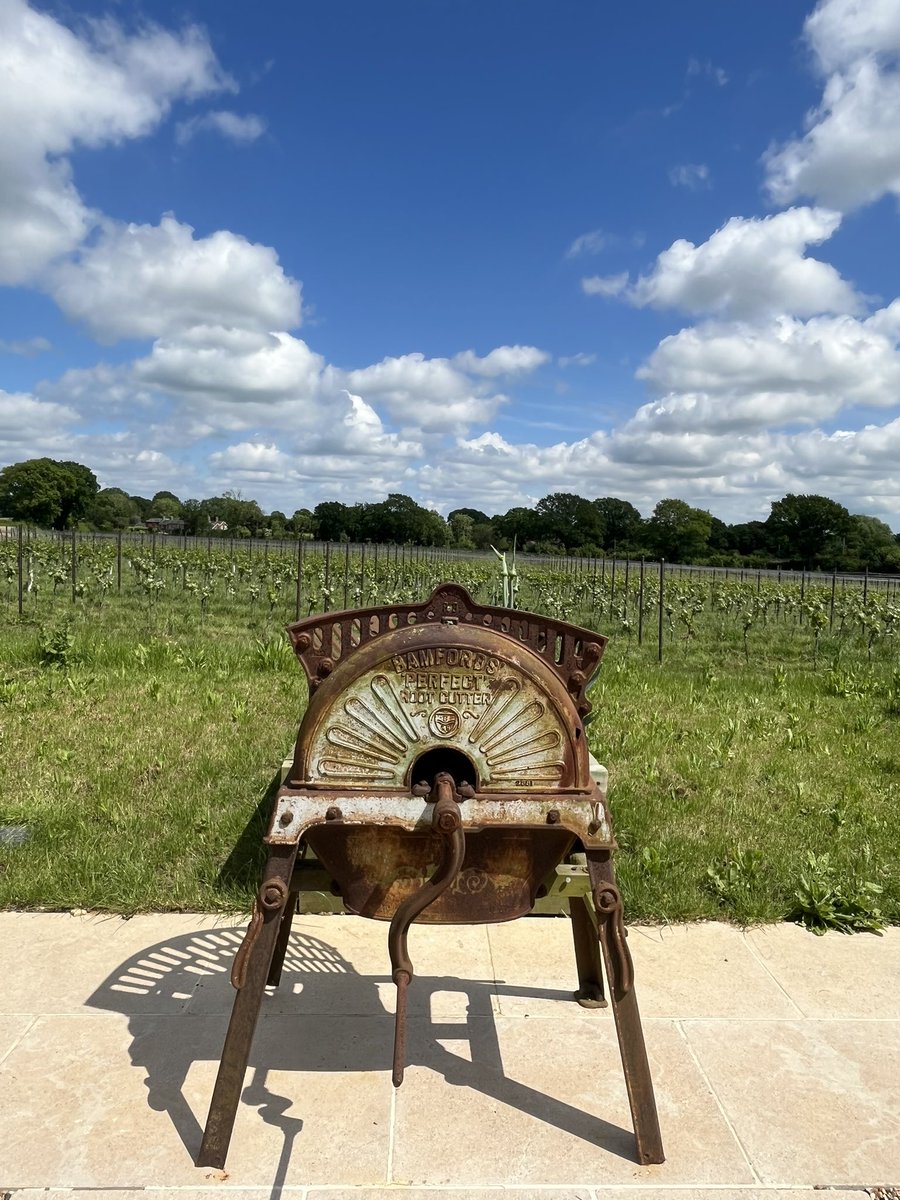 Southdownsjojo's tweet photo. Wonderful day to be out discussing wine tourism development in Horsham / Sussex
#wiston #Kinsbrook #Nutbourne
@HorshamDC #SussexSix #experiencesussex #MeetSussex @VisitEngland @Wine_GB https://t.co/cIa6PPK9Zs