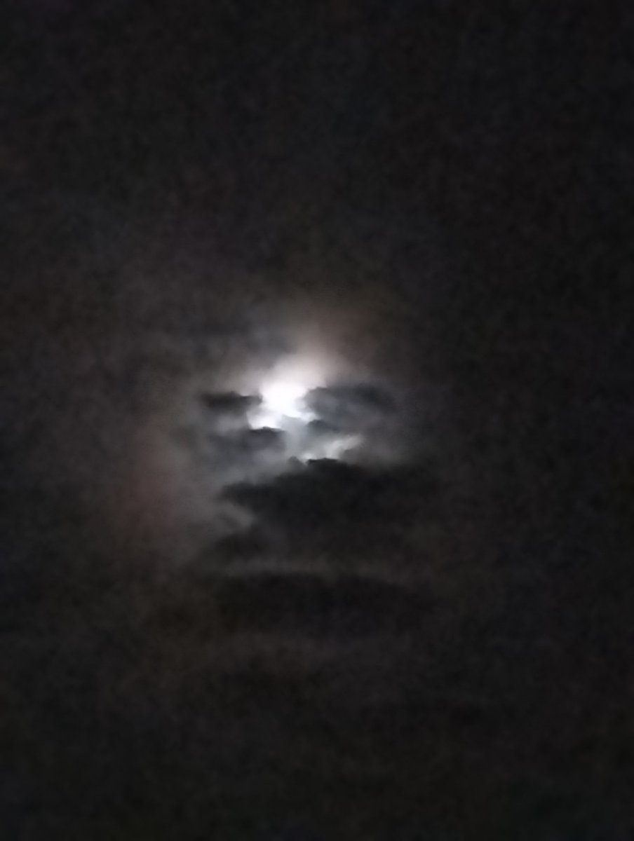 @hisui178178 ヒスイさん、こんばんは🌕
曇りかぁって思って夜空を見上げたらミエナイチカラが働いたらしくおぼろげな月が神秘的に浮かんでました😊
ヒスイさんノ写真に素適なお花がフラワームーンを飾ってますね🌹