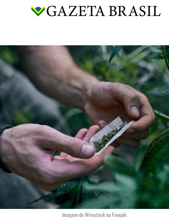 Pela primeira vez, o número de americanos que consome MACONHA quase todos os dias supera os que bebem ÁLCOOL com a mesma frequência.