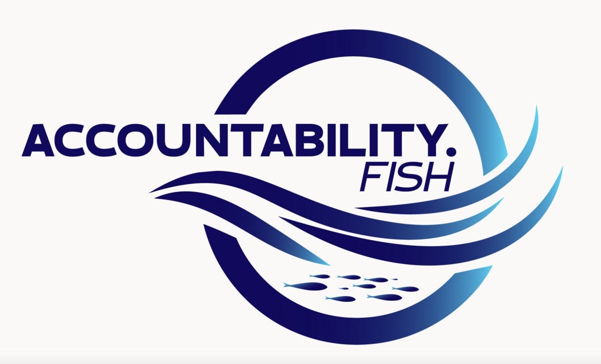 accountability.fish tweet media