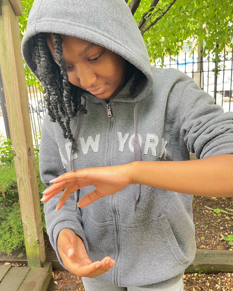 CIOBCitywide's tweet photo. What a unique and beautiful learning experience at @LyonsBklyn ! Releasing ladybugs into the garden not only helps the environment but also teaches students about caring for our planet and overcoming fears. 🐞🌱 #NatureEducation #LyonsCommunity #SustainableGardening https://t.co/CEiA2B4c8K