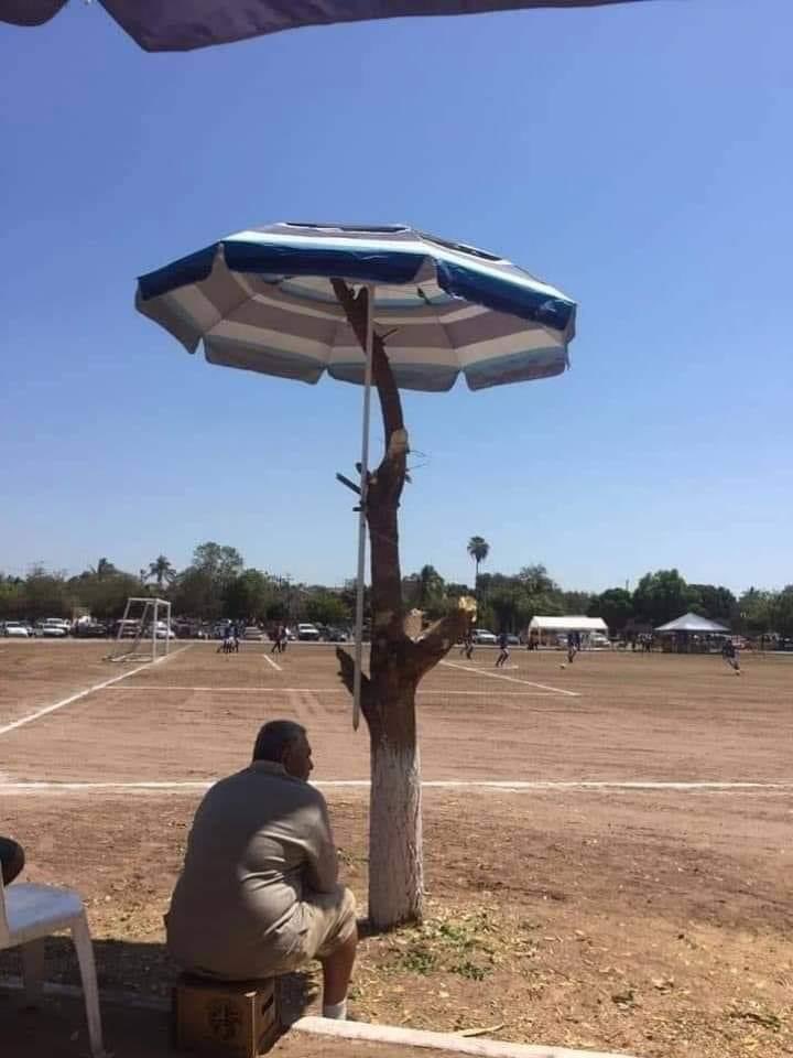 Human stupidity can't be explained better than this picture. #वनहीजीवनहै #savetrees #saveenvironment #saveforest #gogreen #haritkranti #greenrevolution