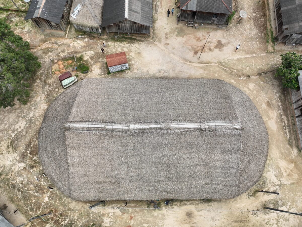 Story by @leandromelito and @murilopajolla | @Internews, @USAIDPeru and @wcsbrasil1 #AREP #TogetherForConservation 
📷: Eduardo Passaro/IIEB

infoamazonia.org/en/2024/05/22/…