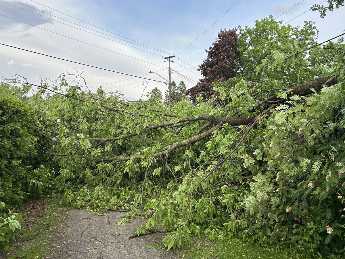 FreqPtbo's tweet photo. Wanna know what we missed out on in Peterborough yesterday?  Emily got this footage from her home town. And this comes a day after the 2 year anniversary of the derecho that moved the area. https://t.co/JLq2AboQp0
