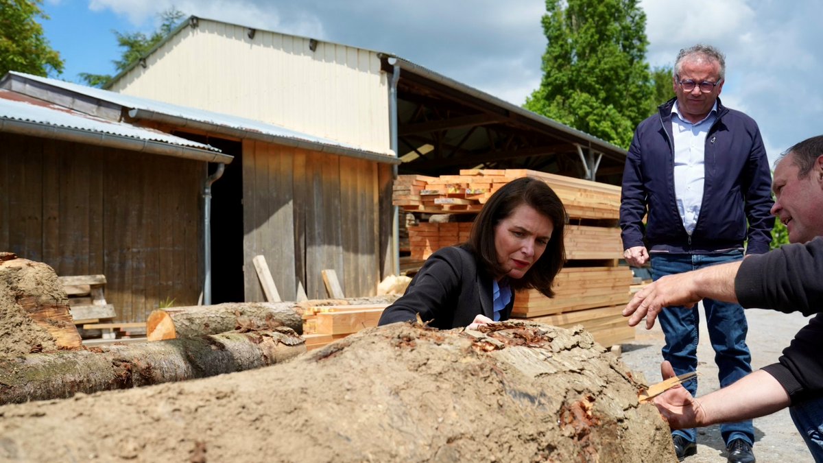 #RencontresMorançais : @C_MORANCAIS débute l’après-midi par la rencontre d’Emmanuel et Véronica Bignon, propriétaires de la scierie La Blottière. ➡️ La Région se mobilise pour accompagner la filière bois en renforçant les liens entre l’amont et l’aval grâce à l’adoption d’un Plan