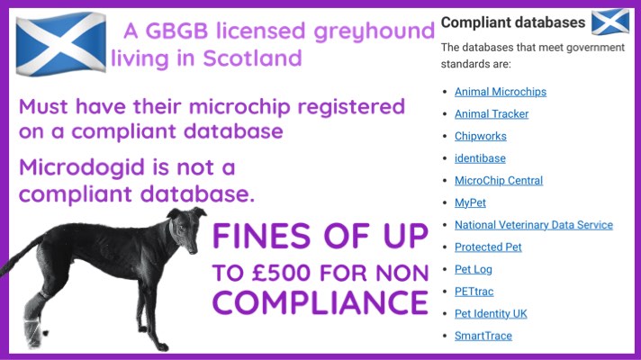 Minister @JimFairlieLogie might want to check with his pal, the unofficial @scotgov adviser, about compliant🏴󠁧󠁢󠁳󠁣󠁴󠁿microchipping. Microchipped GBGB licensed racing #Greyhounds are registered on ICC owned MicrodogID database. MicrodogID does not meet @scotgov standards @fincarson