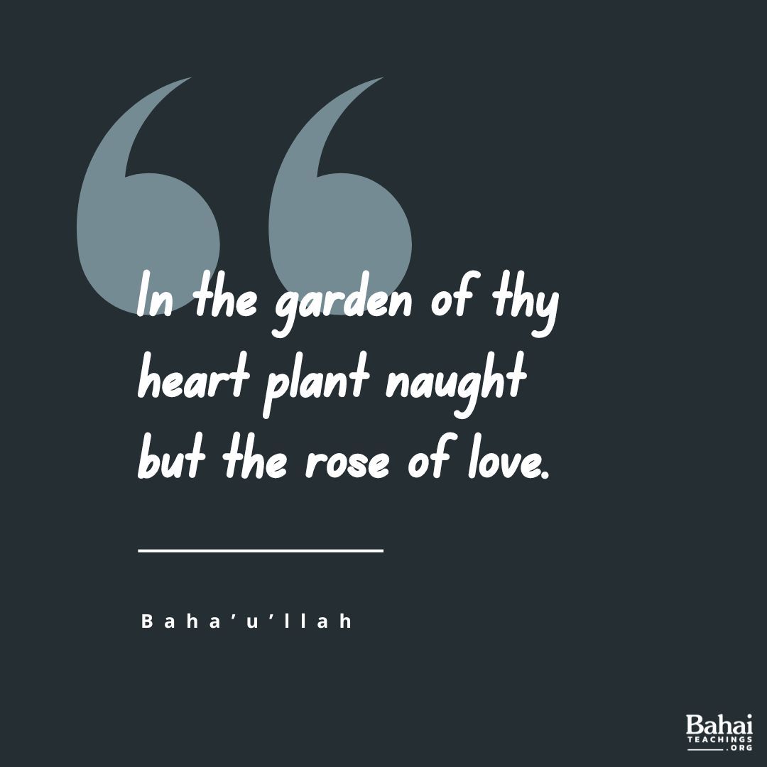 In the garden of thy heart plant naught but the rose of love, and from the nightingale of affection and desire loosen not thy hold. – Baha'u'llah #Bahai #Spirituality #Love #Humanity (The Hidden Words)