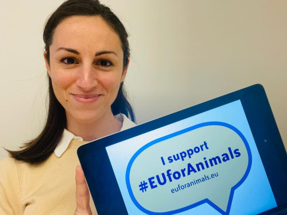 Candidates in the 2024 European elections who will support #EUforAnimals in the next Parliament if they are elected.
Introducing Eleonora Evi, candidate for Partito Democratico (Italy), in the upcoming EU elections.
@EleonoraEvi 
#Euelections2024
