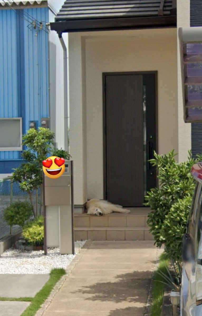 Googleマップ見たら実家にいた頃のココ発見🩷🩷あー可愛い！
ココの毛でぬいぐるみ作ろうと頑張ってますが難しい😭めっちゃココの匂いで泣きそう〜😭