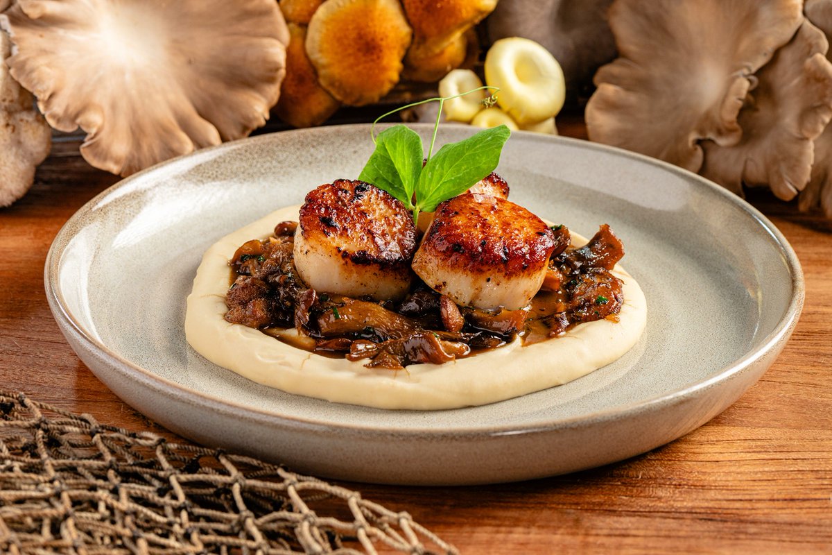 TravelHost FTL tweet media