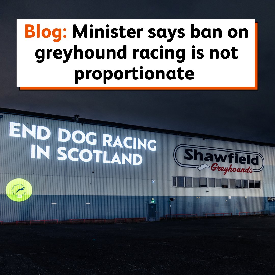 ❗We have complied a blog featuring the key moments from the @SP_RuralAffairs' evidence session on @SageHounds petition to end greyhound racing in Scotland, which is the most signed in Scottish history. 👉Please read our blog to learn more🔗 onekind.org/blog/minister-… 1/2