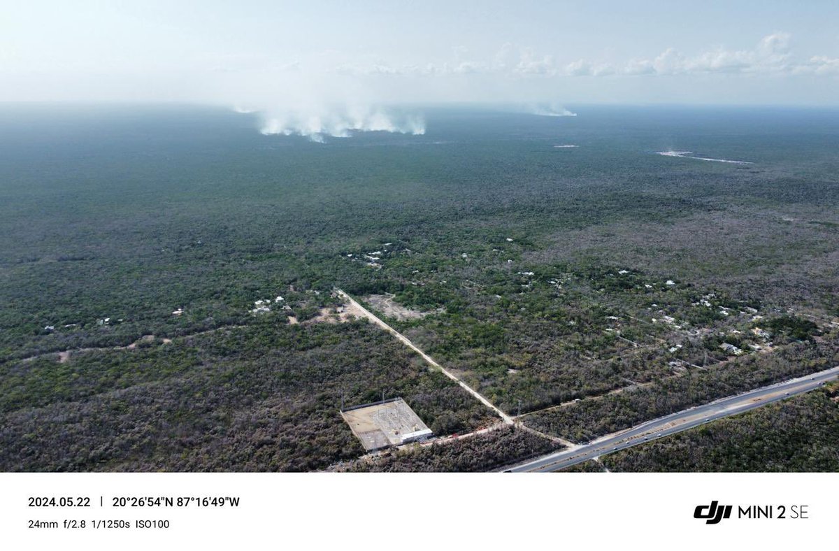 Dinamitan para crear lagunas artificiales en torno a terrenos de Bahía Príncipe y el mal llamado @TrenMayaMX , incendios provocados para desmontar. La metástasis del cáncer de la “justicia social y la plusvalía” a todo lo que da. @SelvameMX @SelvaMayaSOS 📸@Eli7fuentes