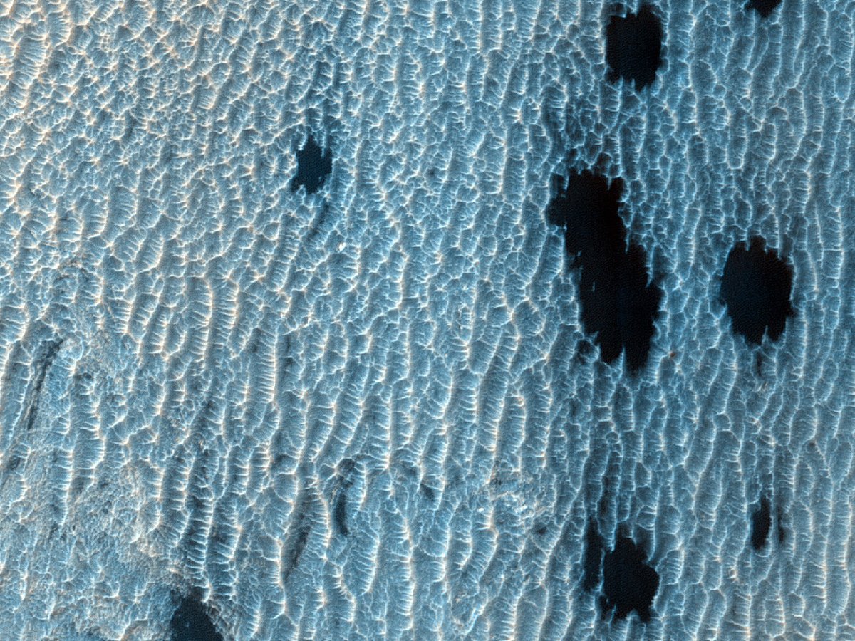 HiRISEWelsh's tweet image. Smotiau Tywyll ar Lawr Ceudwll sydd i'r Gorllewin o Geudwll Schiaparelli

rhif: ESP_051851_1760
dyddiad caffael : 18 Awst 2017 
uchder: 267 km

uahirise.org/hipod/cy/ESP_0…
NASA/JPL-Caltech/UArizona
#Mars #NASA #Cymraeg #Cymru #Welsh