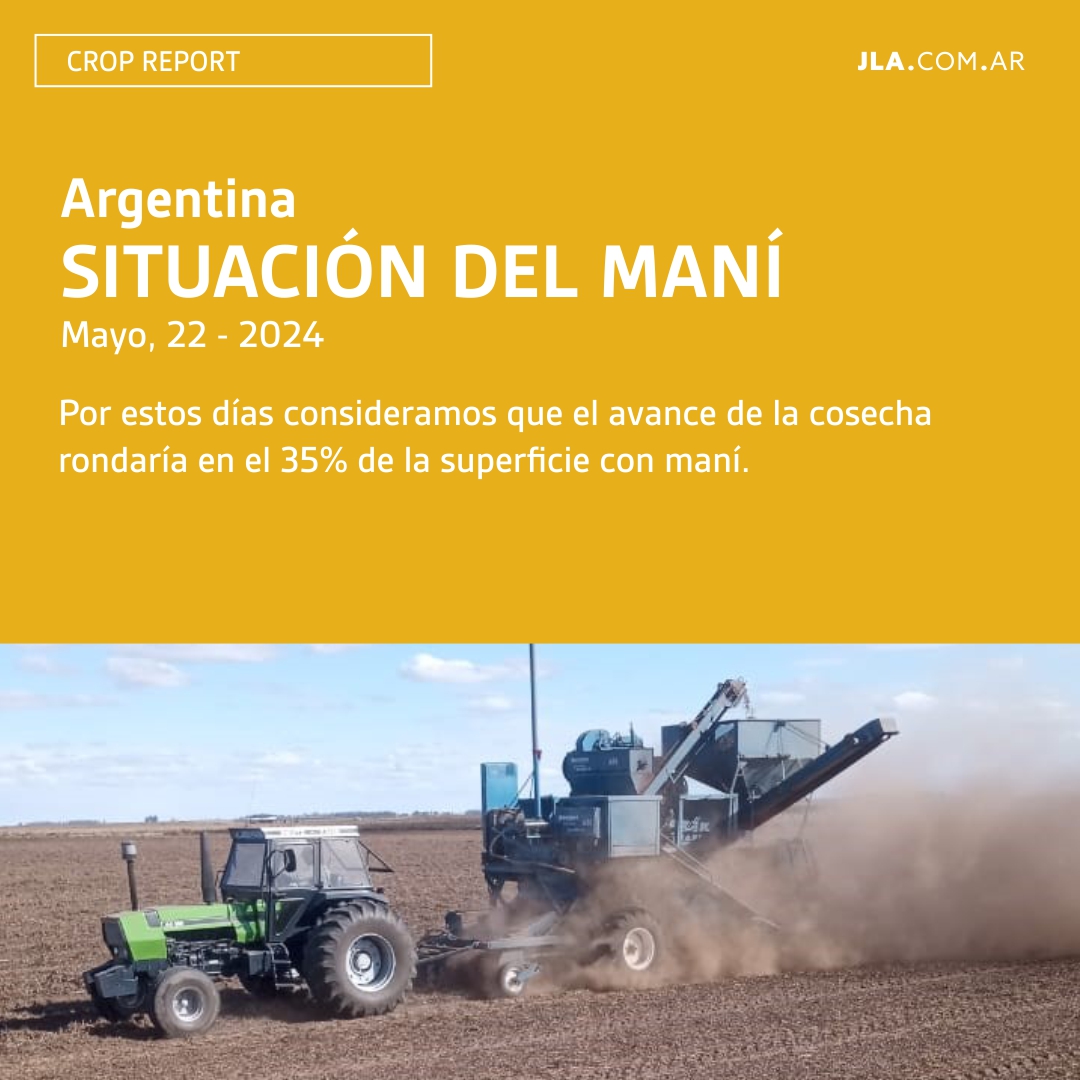 JLA_Arg's tweet image. Crop Report 22/05 🥜 #InANutshell
Datos referidos a la actualidad de la campaña del maní. Relevados por el Ing. Agrónomo Marcelo Cavigliasso 🧑🏼‍🌾Esta información es publicada en el reporte In a Nutshell – Foy Mills – VP of Ag Systems of JLA International