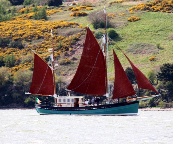 SailTraining Ireland tweet media