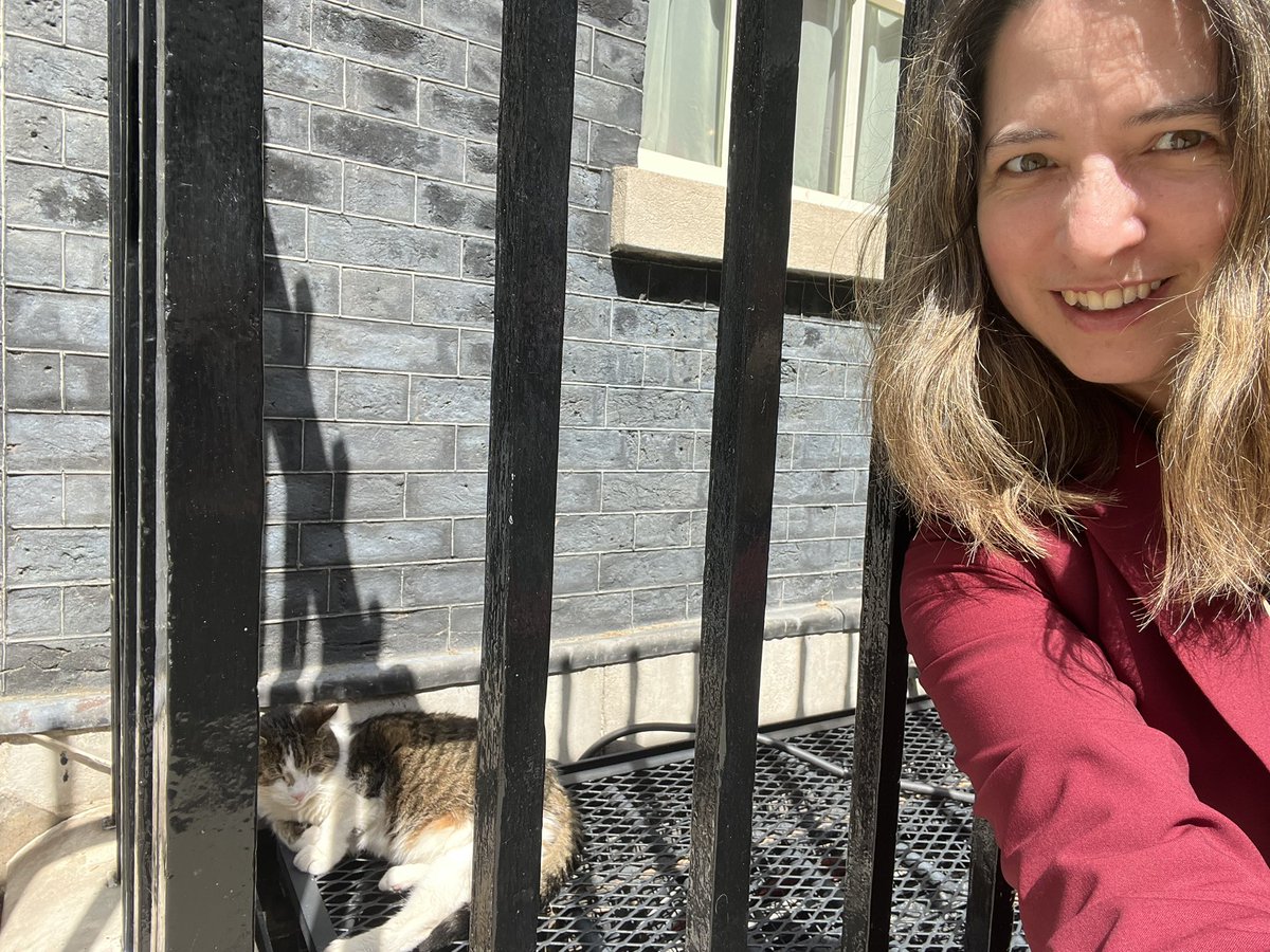Highlight of the campaign so far! @Number10cat