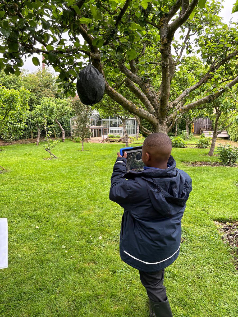 Fosse_TMET's tweet photo. Year 2 are really enjoying the hunts around Barnsdale Gardens… now it’s time for lunch! #fmgeography #fmscience #enthusiastic https://t.co/Uw3znzO8RN