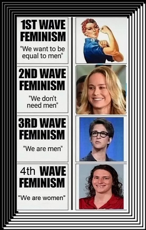 The history of Feminism 

Scary is it not 😂😂