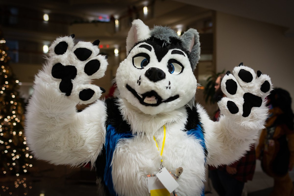 Sinclair Wolf tweet media