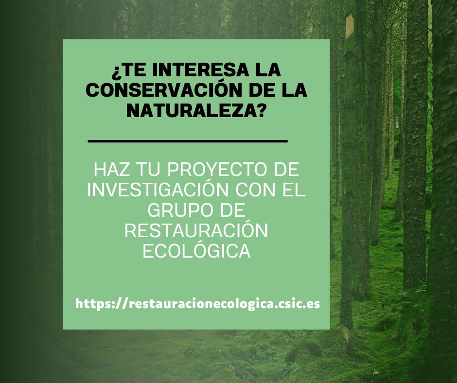 🔉¿Te interesa la conservación y restauración de la naturaleza? Si quieres realizar tu TFG, TFM o #doctorado en estas áreas puedes hacerlo con el Grupo de Restauración Ecológica #GrupoRestecol. 👉Mira sus ofertas de investigación: restauracionecologica.csic.es/investiga-con-… #tesis #phd