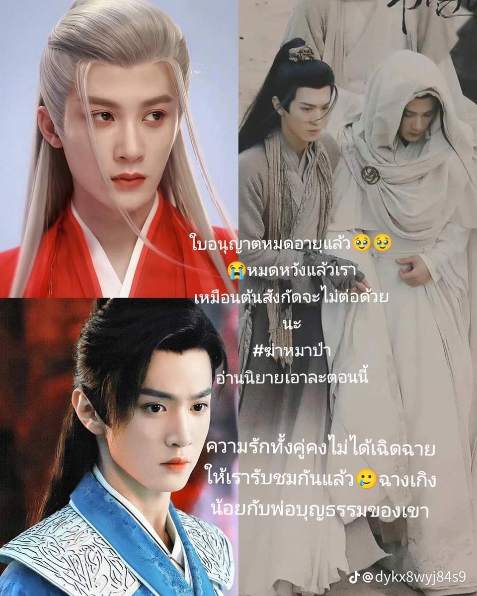 ฆ่าหมาป่า 😭😭😭😭คงไม่ได้ต่อแน่นอน หนังสือก็แปลยังไม่จบซีรีย์ก็ไม่ได้ออน