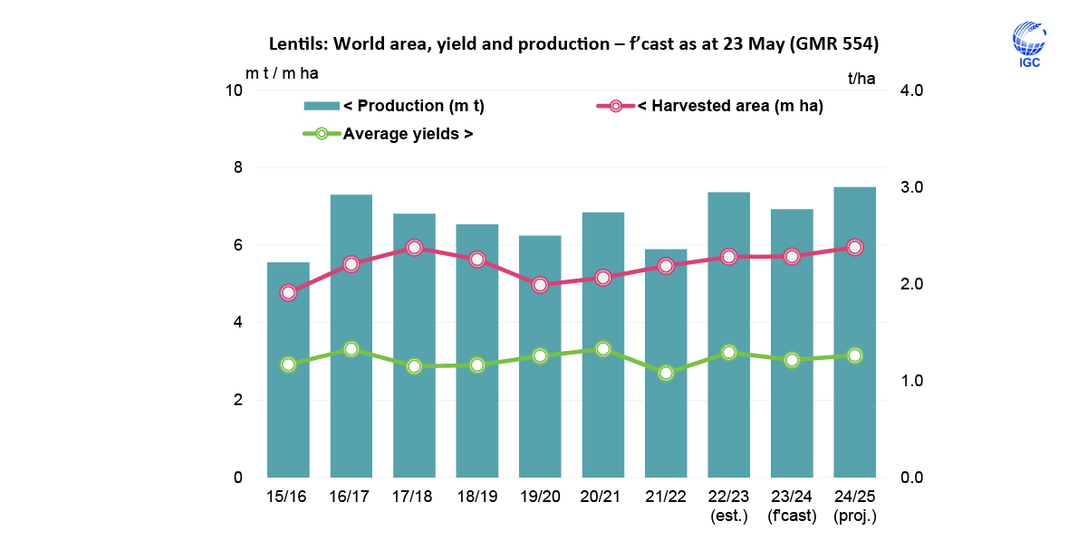 World #lentils (#pulses) #production in 2024/25 is predicted to climb to above-average levels owing to increased planted #area and higher #yields.