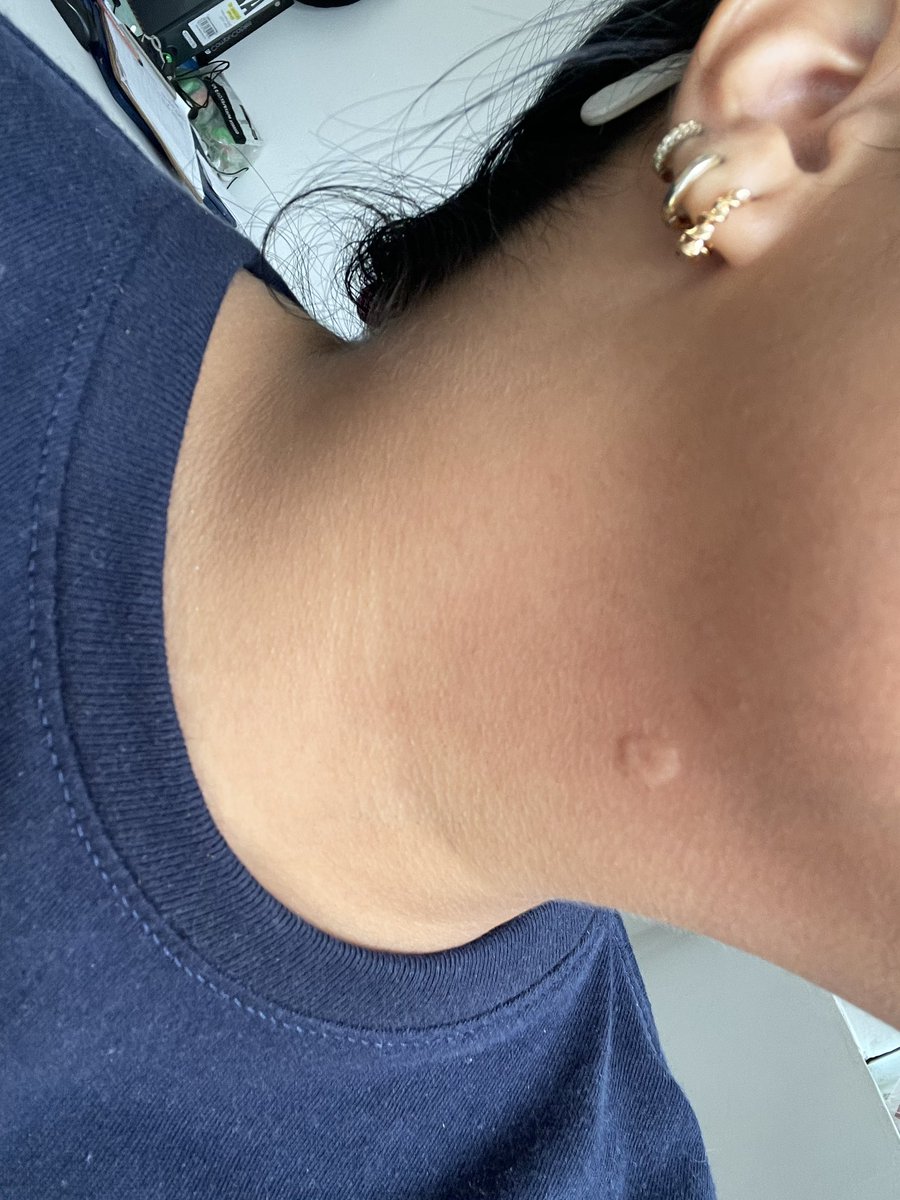 Luisa🧚🏼‍♀️ tweet media