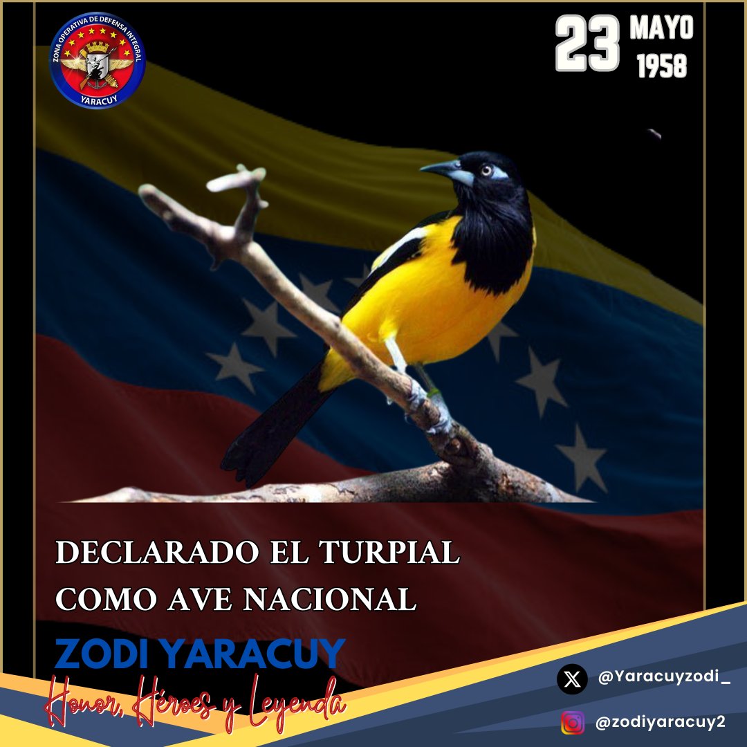 YaracuyZODI_'s tweet photo. #23May || Tal día como hoy hace 66 años es declarado el Turpial como Ave Nacional, luego de un concurso promovido por la Sociedad Venezolana de Ciencias Naturales.

#ZODYaracuy
#CreoEnVenezuela https://t.co/W1YiuI6t6Q