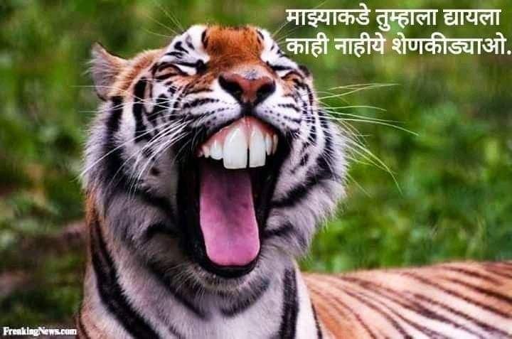 CommonManFire's tweet photo. चार जूनला साहेब ........😜😜😜😜
.
माझ्याकडे तुम्हाला द्यायला काहीच नाही आहे शेन किड्यानो ..🤣🤣🤣
#ubatha https://t.co/IHSFLQPi6w