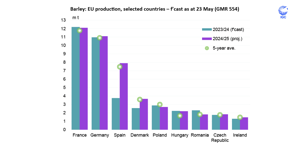 Global 2024/25 #barley #output is projected to increase moderately, including the potential for an above-average output in the #EU, buoyed by a rebound in #Spain.