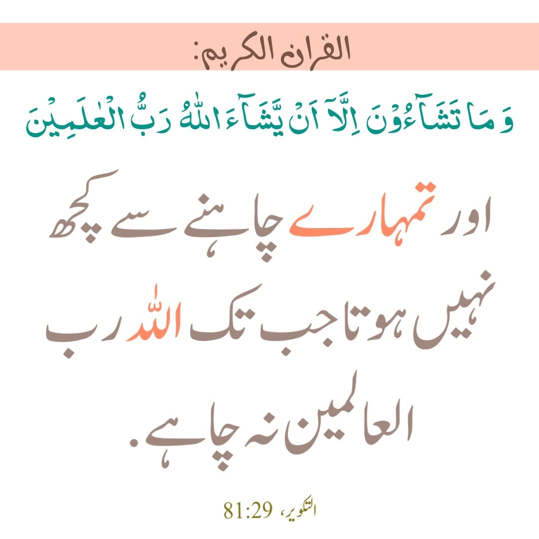 قرآنی جواب (@quranijawab) on Twitter photo 
