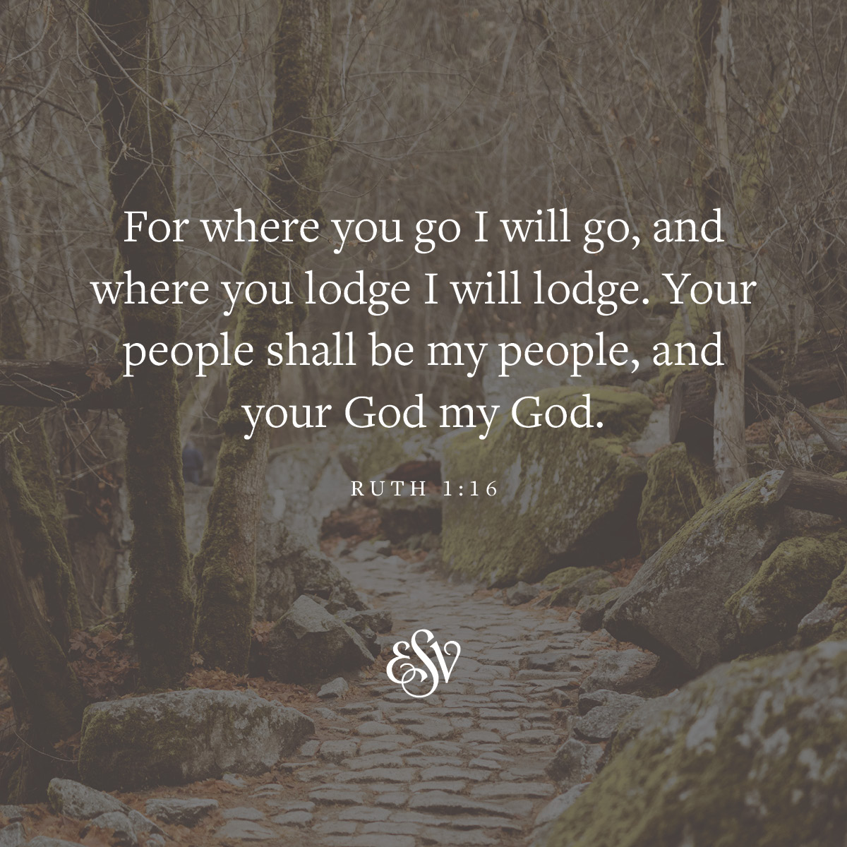 For where you go I will go, and where you lodge I will lodge. Your people shall be my people, and your God my God. —Ruth 1:16 ESV.org #Verseoftheday #ESV #Scripturememoryverse #Bible