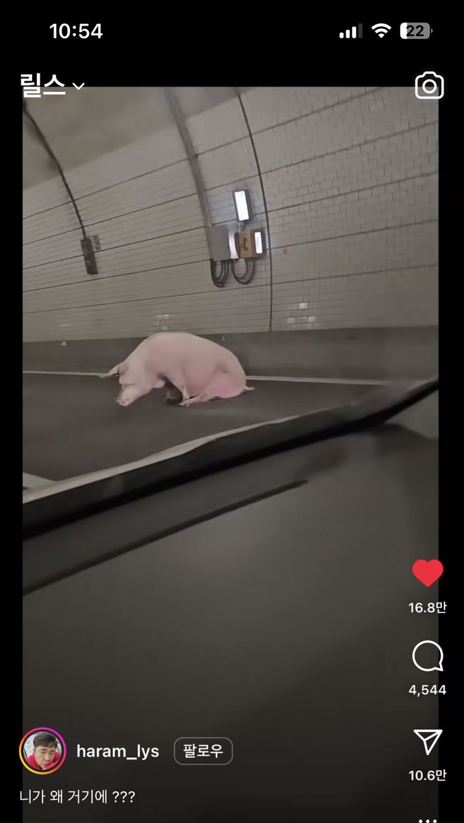 노시환 너 아무리 우울해도 그렇지 
차에치이면 어쩌려고 거기서 그러고있는거야