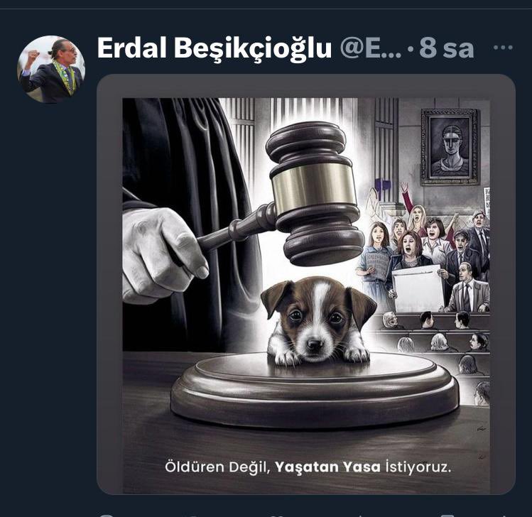 … Helal Erdal Başkan… Yine yakışanı yaptın… Elbette onlar da can… Dilsiz kulları Hakkın…